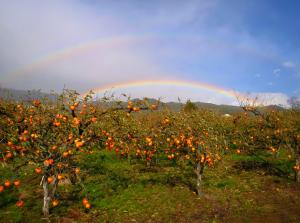 審査委員長賞①