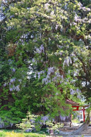 福島信用金庫国見支店賞